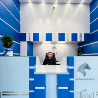 نمایندگی ایساکو اسدی