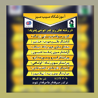آموزشگاه آرایشگری سیب سبز 