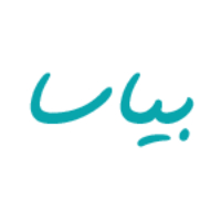 شرکت مهندسی طراحی سایت بیاسا